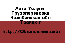 Авто Услуги - Грузоперевозки. Челябинская обл.,Троицк г.